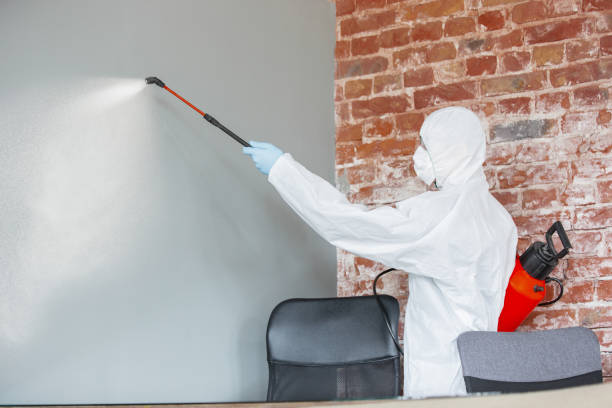 Best Asbestos and Lead Testing During Mold Inspection  in USA