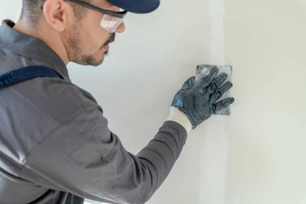 Best Mold Damage Restoration  in USA